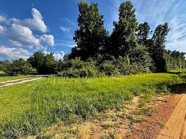 Obert Rd Cottondale, FL 32431 - Thumbnail 3