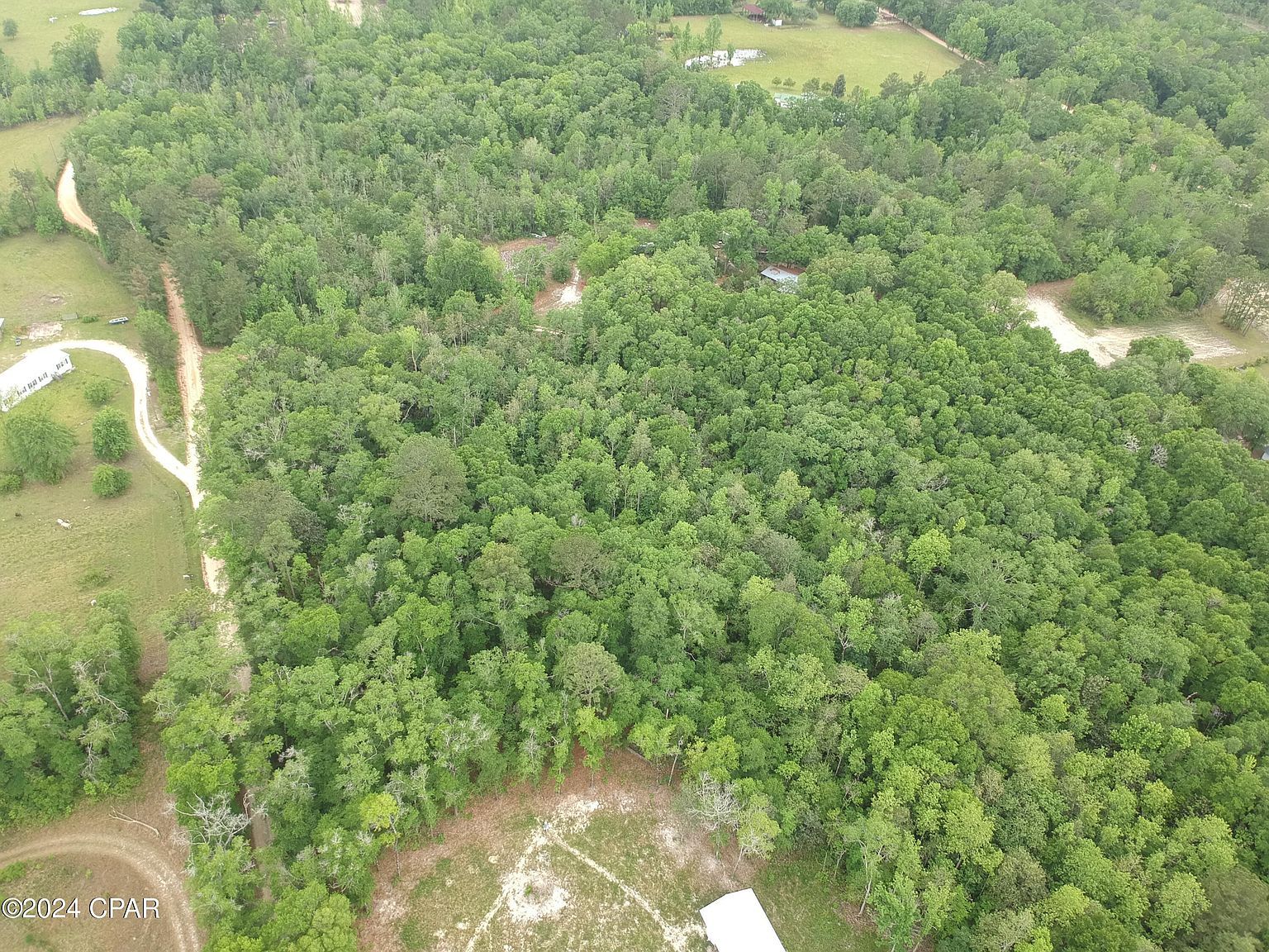 Goat Forehand Ln Bonifay, FL 32425 - Thumbnail 3