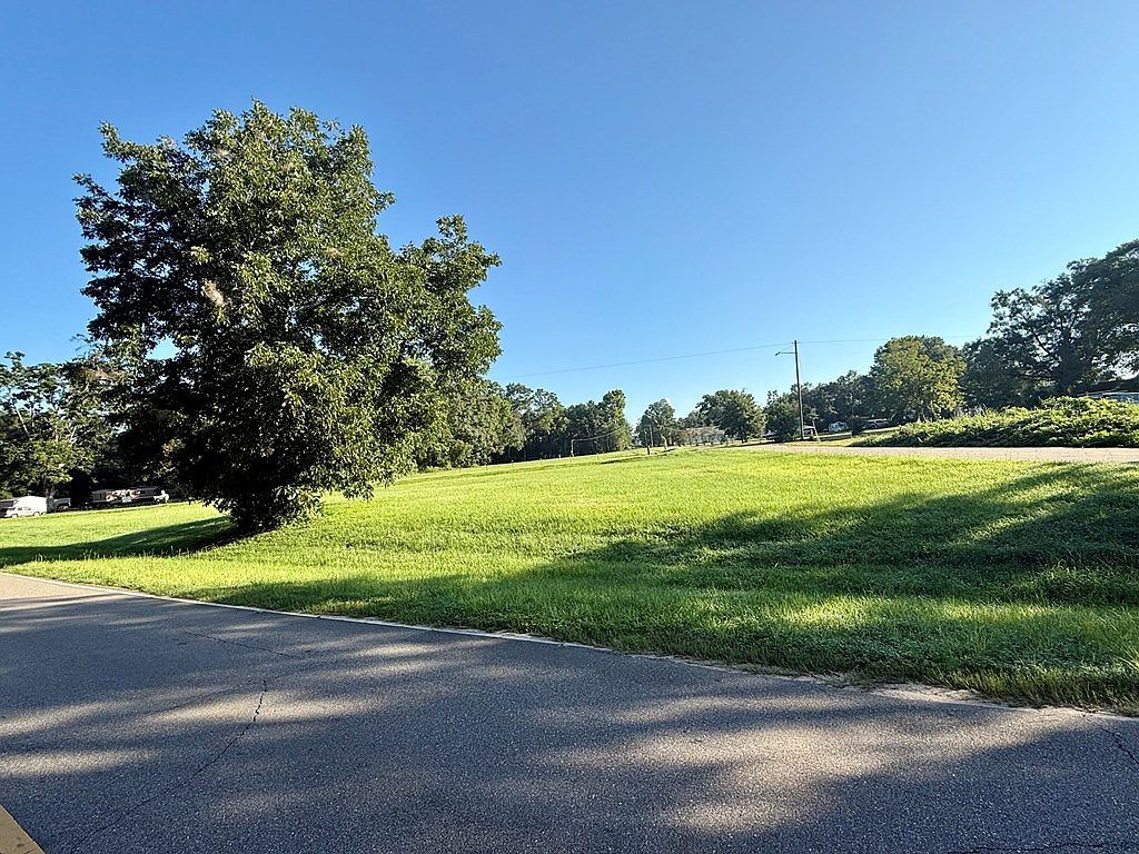 0 W Lowery St Black, AL 36314 - Thumbnail 3