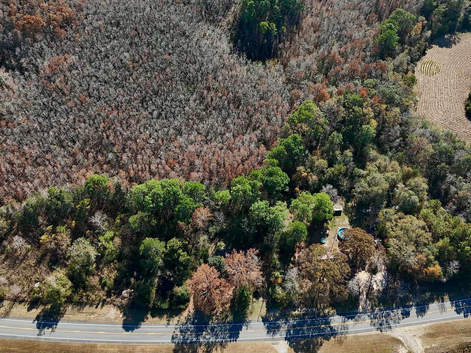 50 Ac Hwy #2 Bonifay, FL 32425 - Thumbnail 3