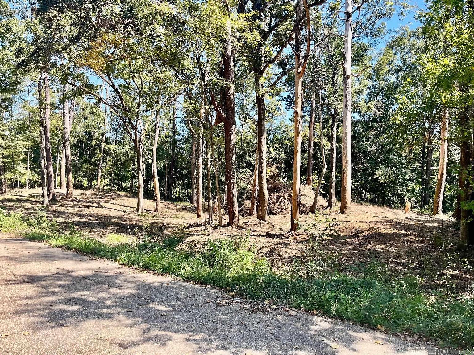 16114 Chaumont Ave Greenwell Springs, LA 70739 - Thumbnail 3