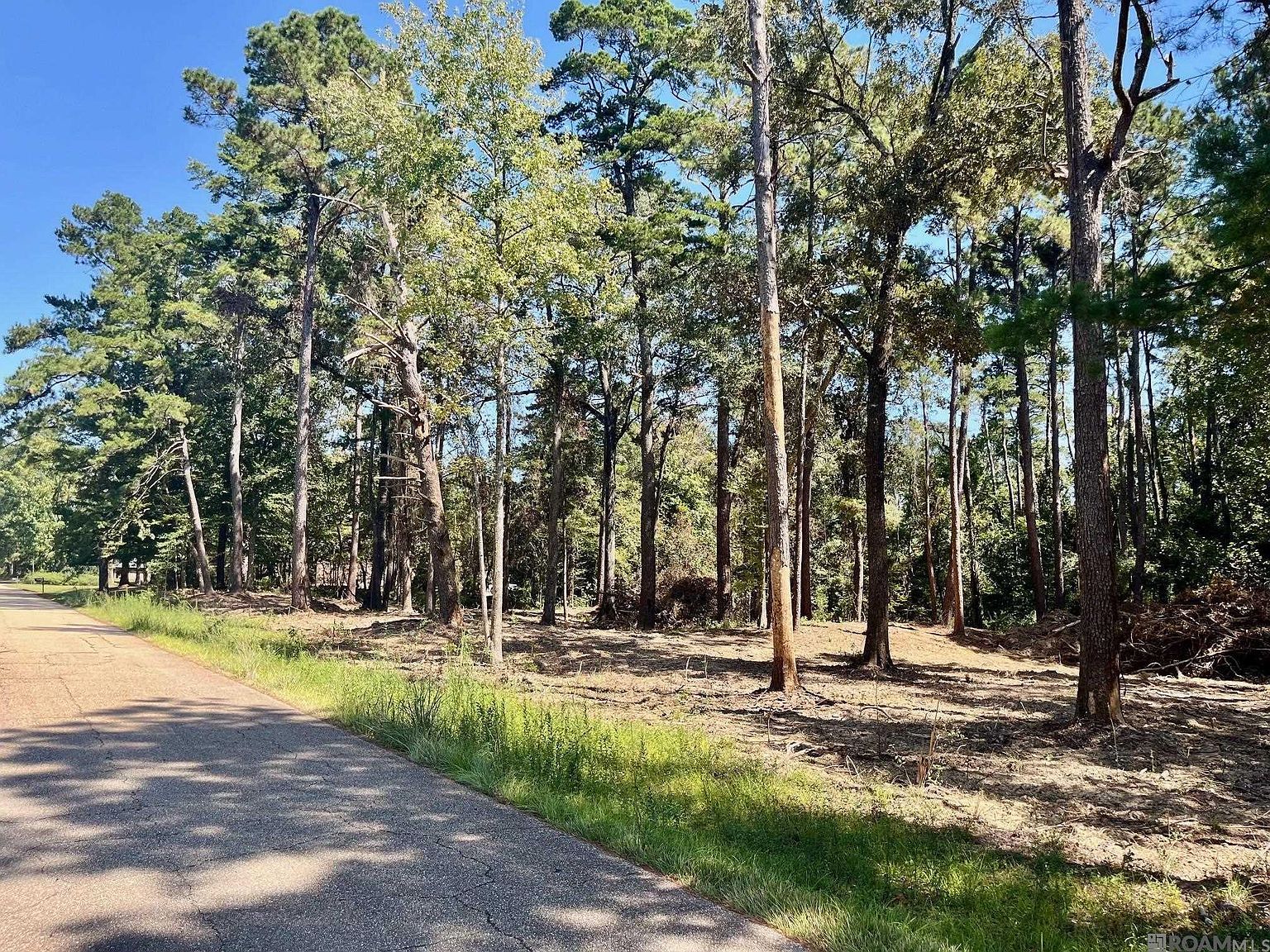 15912 Chaumont Ave Ethel, LA 70739 - Thumbnail 3