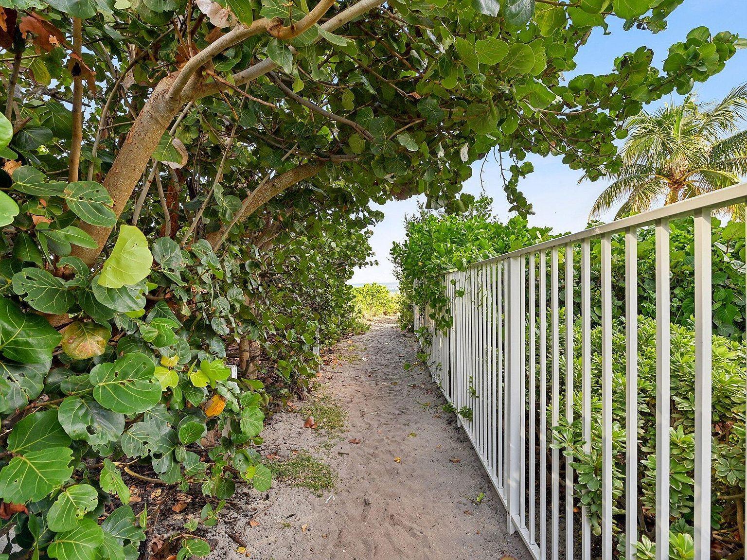 1461 S Ocean Blvd APT 204 Lauderdale By The Sea, FL 33062 - Thumbnail 3