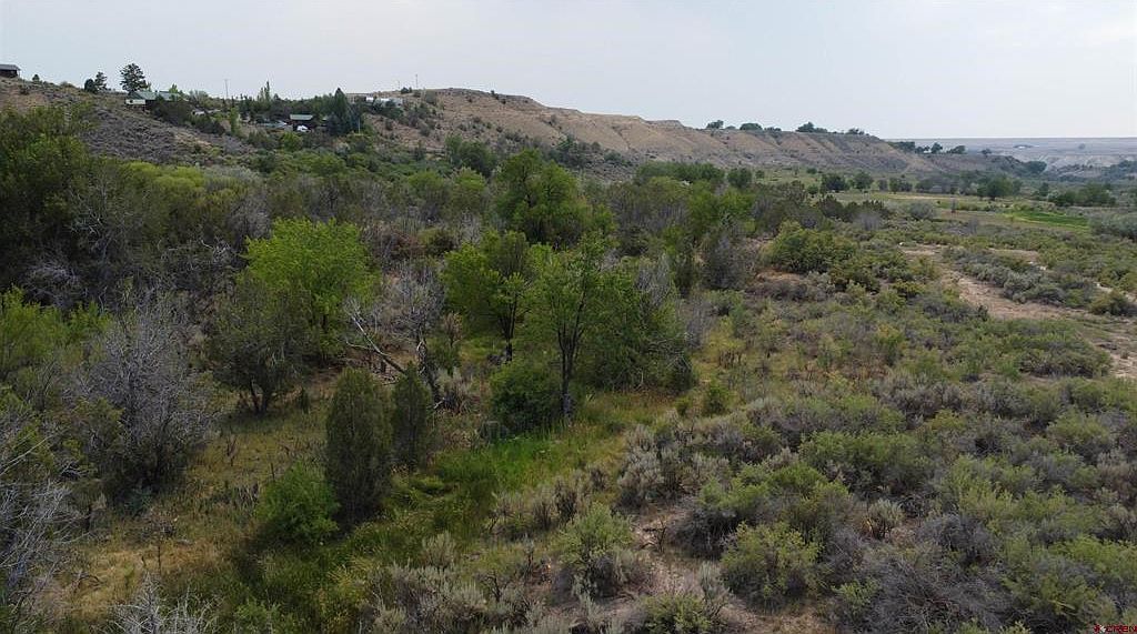 21538 Hamilton Rd Eckert, CO 81418 - Thumbnail 3