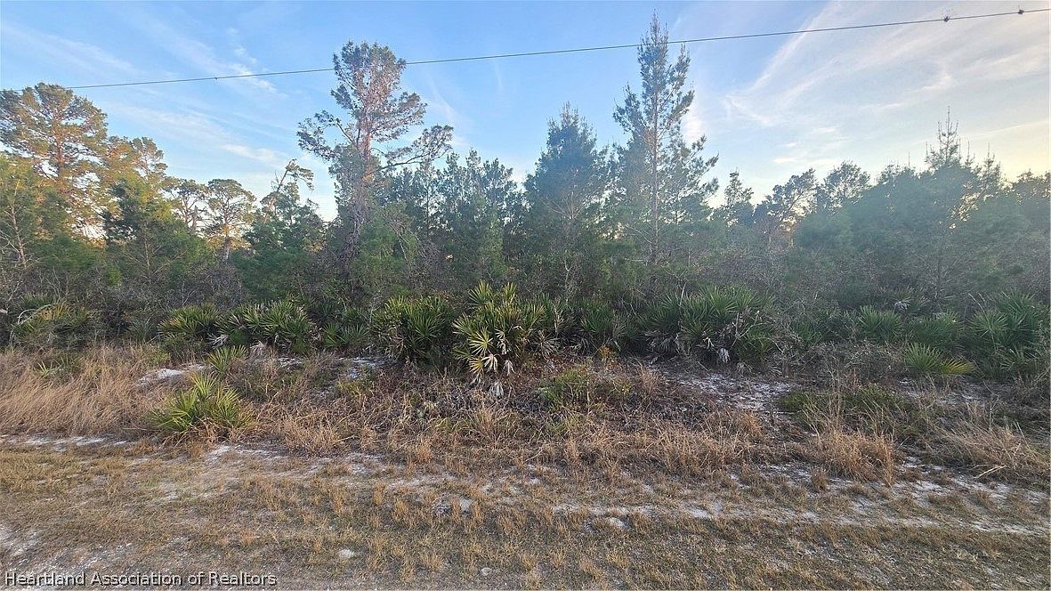 455 Darter Ave Sebring, FL 33872 - Thumbnail 3