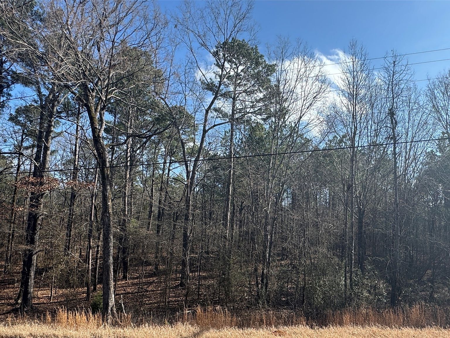 0 Jefferson Paige Rd Shreveport, LA 71119 - Thumbnail 3