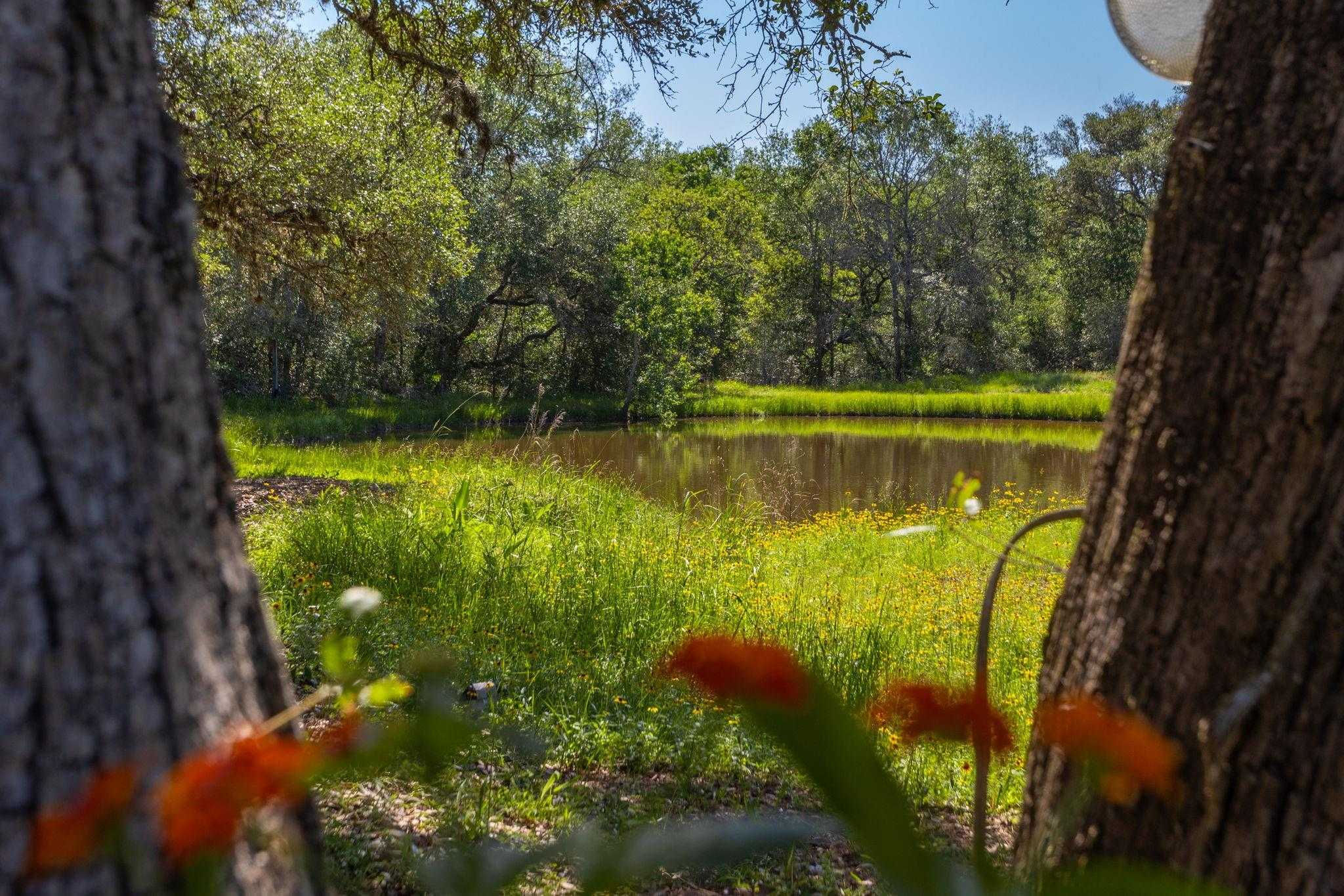 1216 Coxwell Road, Garwood, TX, USA, 77442 - Thumbnail 3