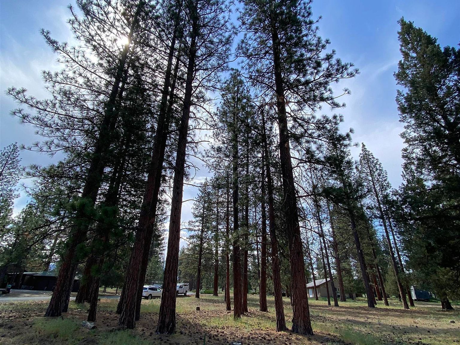 LOT 27 Hogan Dr Weed, CA 96094 - Thumbnail 3