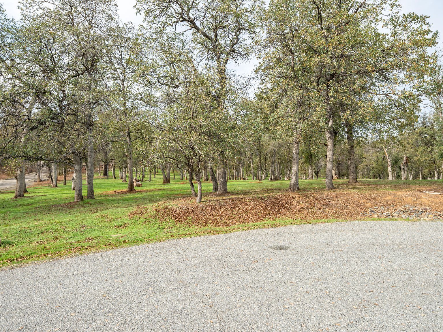 El Camino Robles Rd Redding, CA 96001 - Thumbnail 3