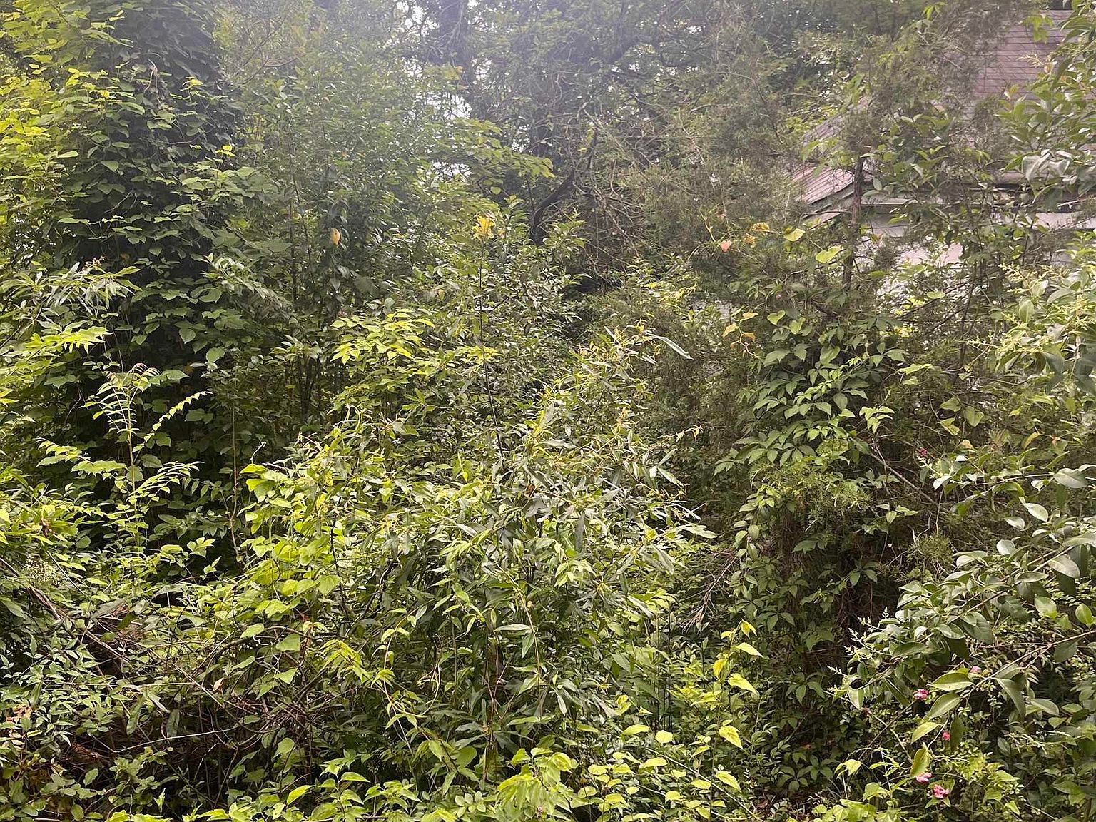 1310 Roadway St Anderson, SC 29624 - Thumbnail 3