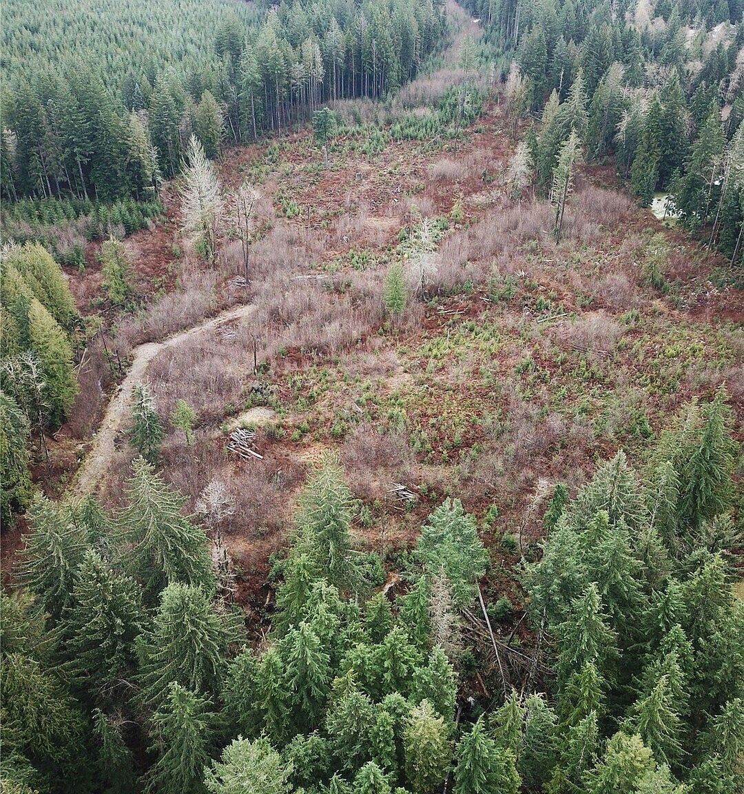 0 SE 364th Ave Maple Valley, WA 98038 - Thumbnail 3