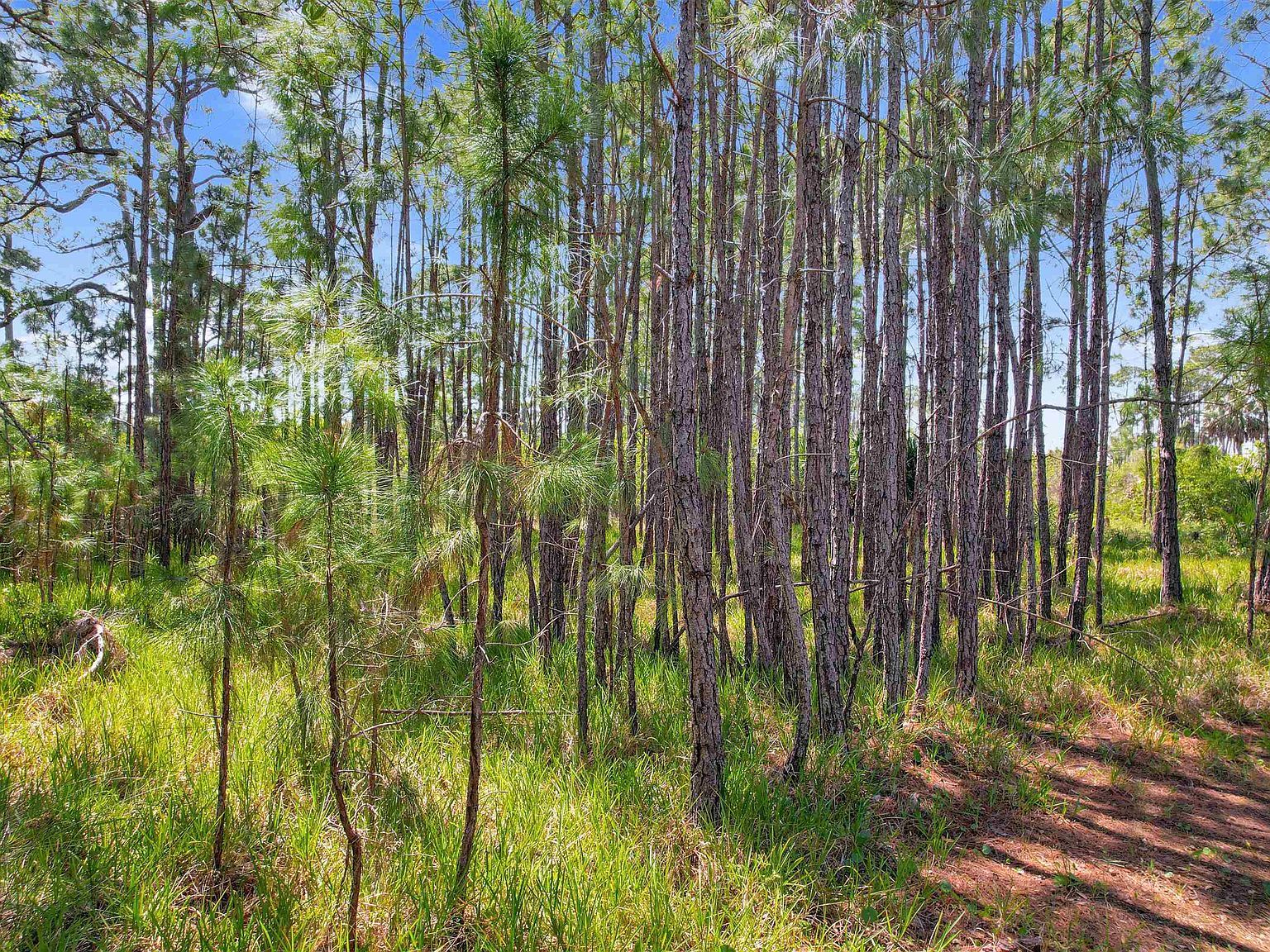 LOT 4 Pelican St Panacea, FL 32346 - Thumbnail 3