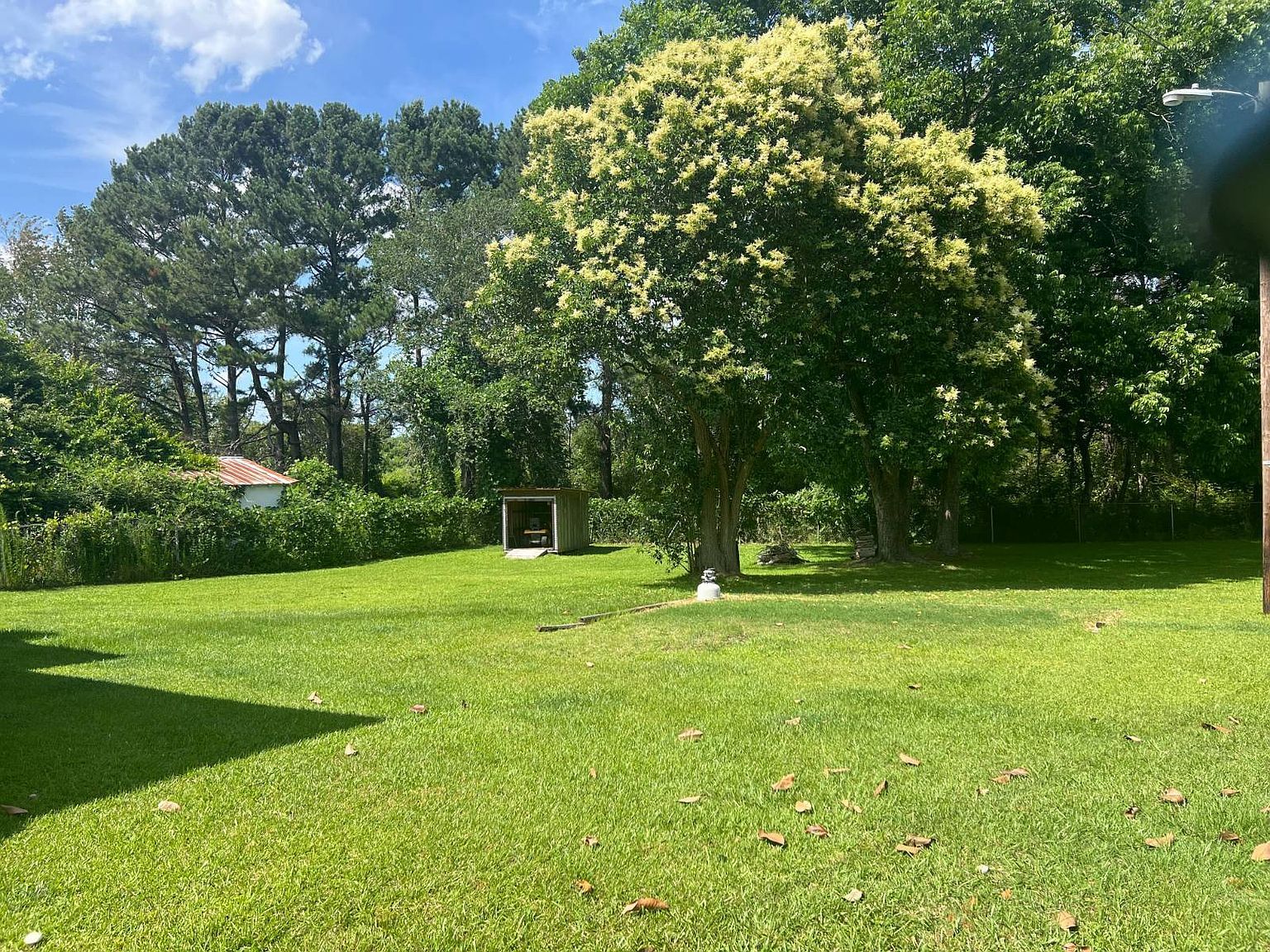 466 Ivey St Clio, SC 29525 - Thumbnail 3