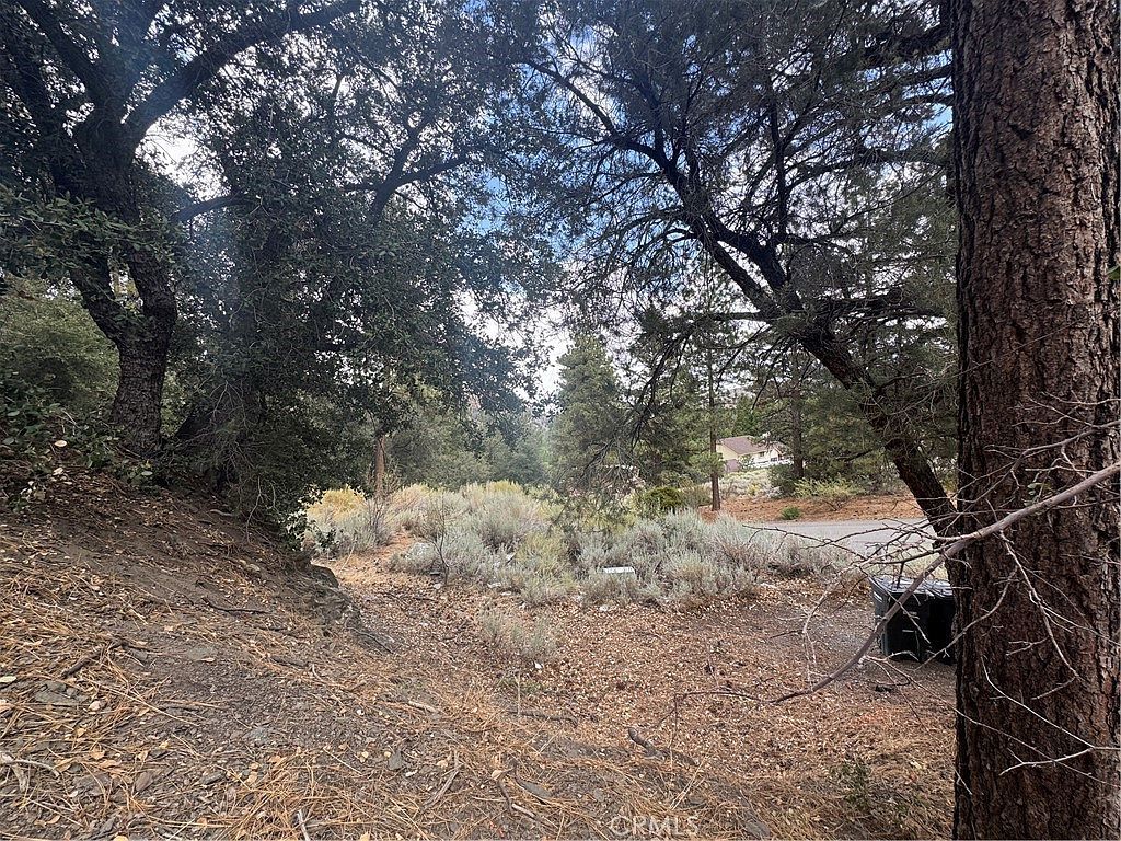 1772 Ash Rd Wrightwood, CA 92397 - Thumbnail 3