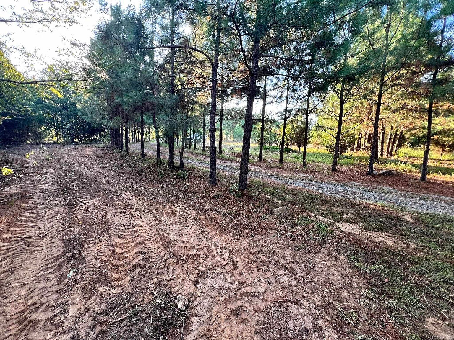 116 Cardin Cir Enola, AR 72047 - Thumbnail 3