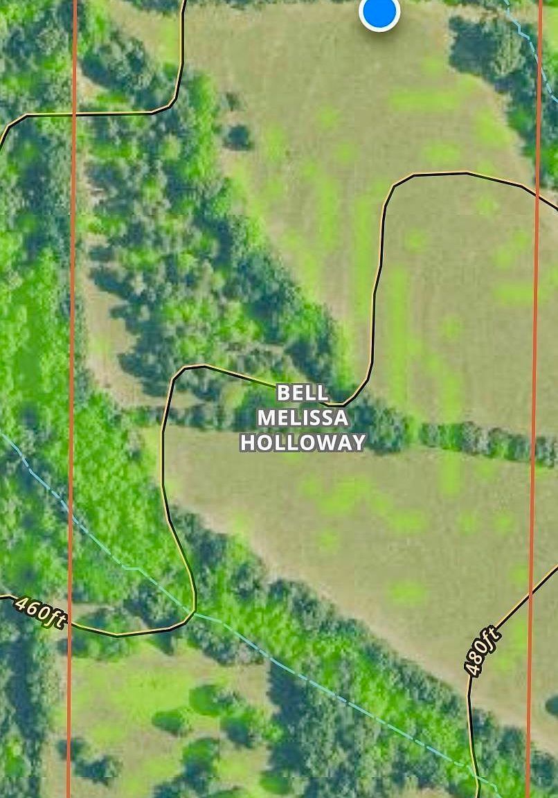 150 Holloway Ln Greenbrier, AR 72058 - Thumbnail 3