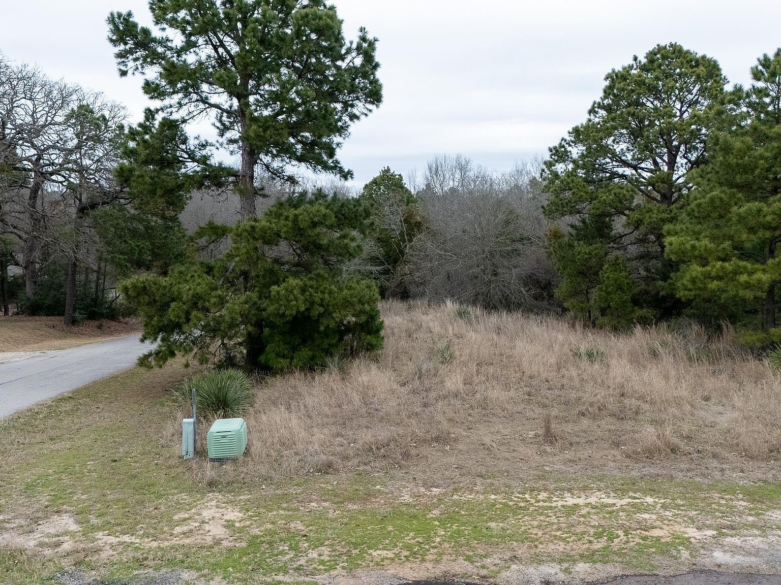 LOT 65 Durango Path Hawkins, TX 75765 - Thumbnail 3
