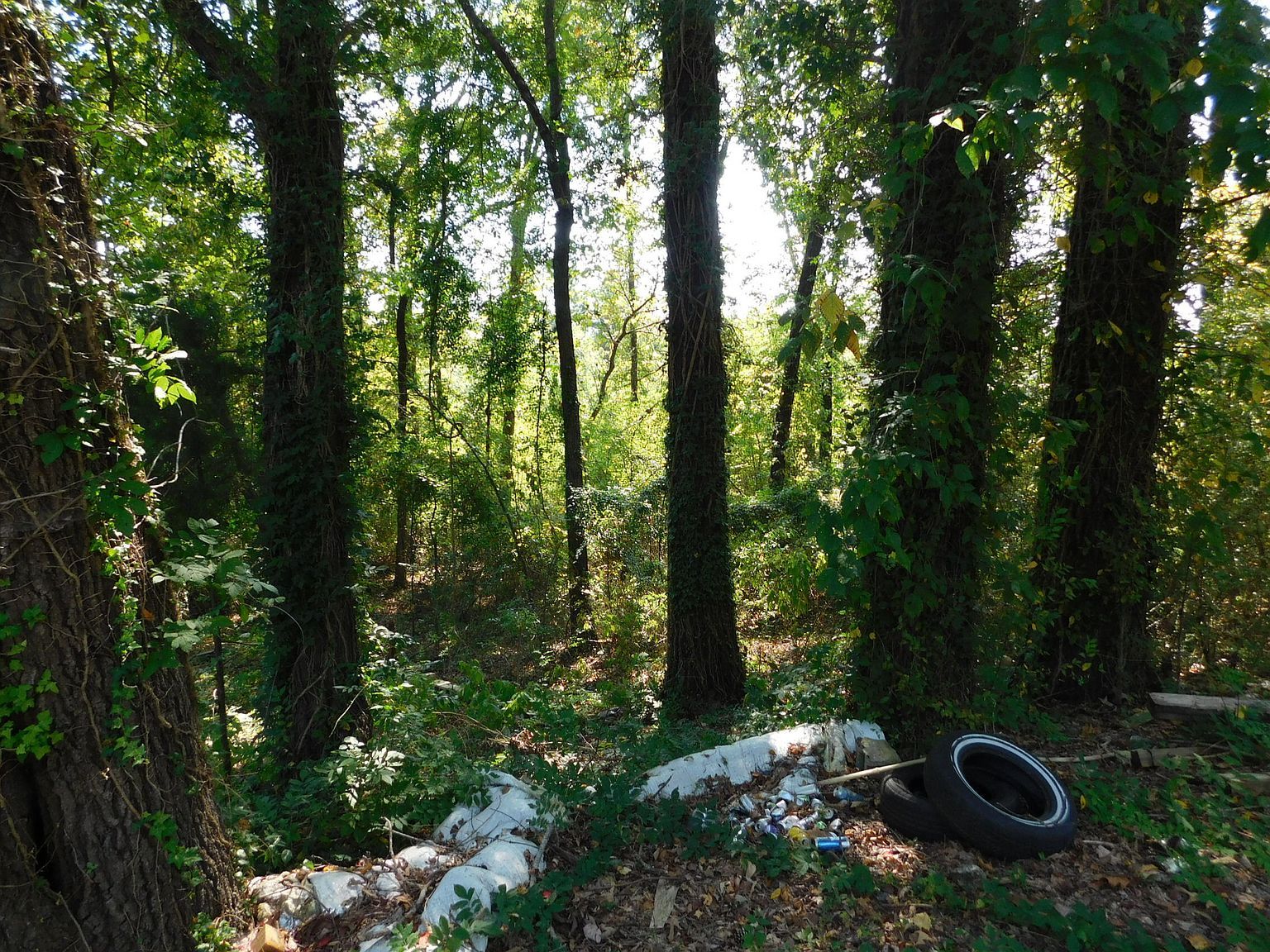 730 John Rankin Hwy Fulton, MS 38843 - Thumbnail 3