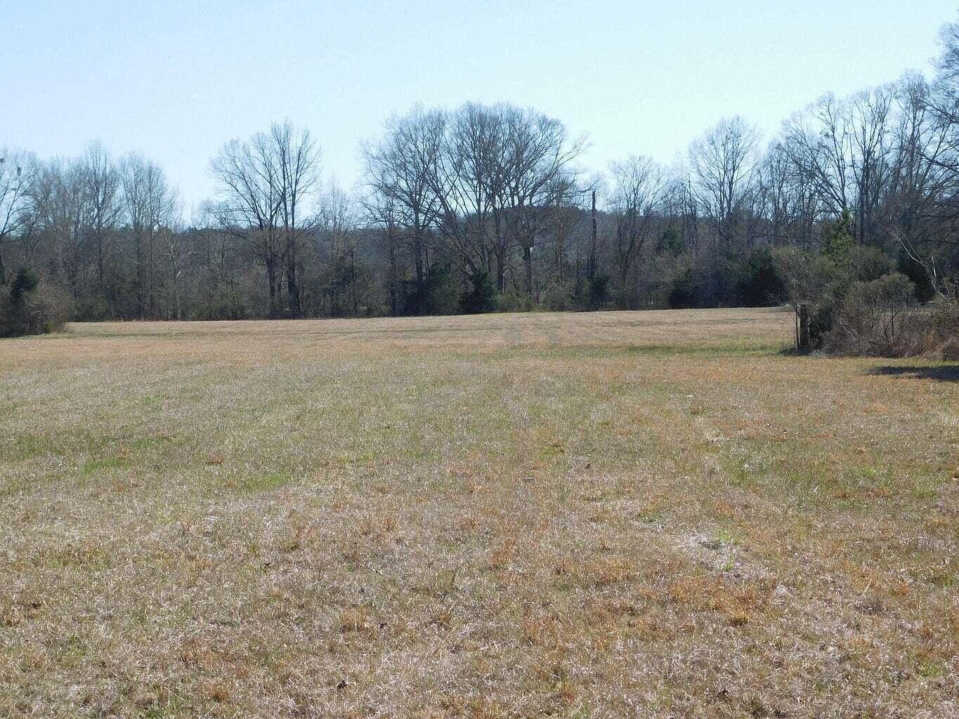 161 County Road 213 Houston, MS 38851 - Thumbnail 3