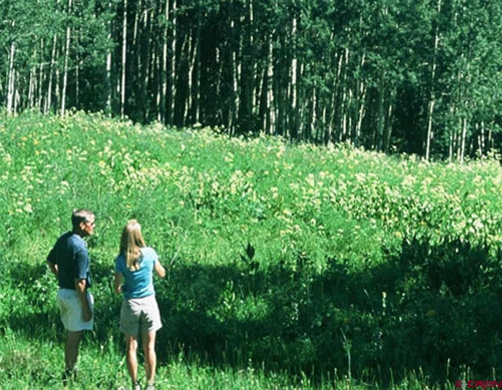 3078 Aspen Mountain Rd Gunnison, CO 81210 - Thumbnail 3