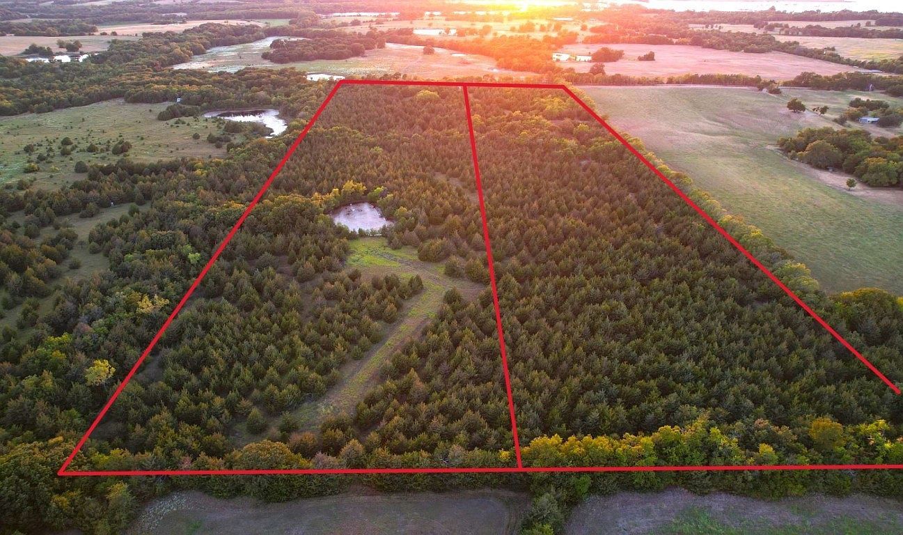 County Road 2965 Honey Grove, TX 75446 - Thumbnail 3