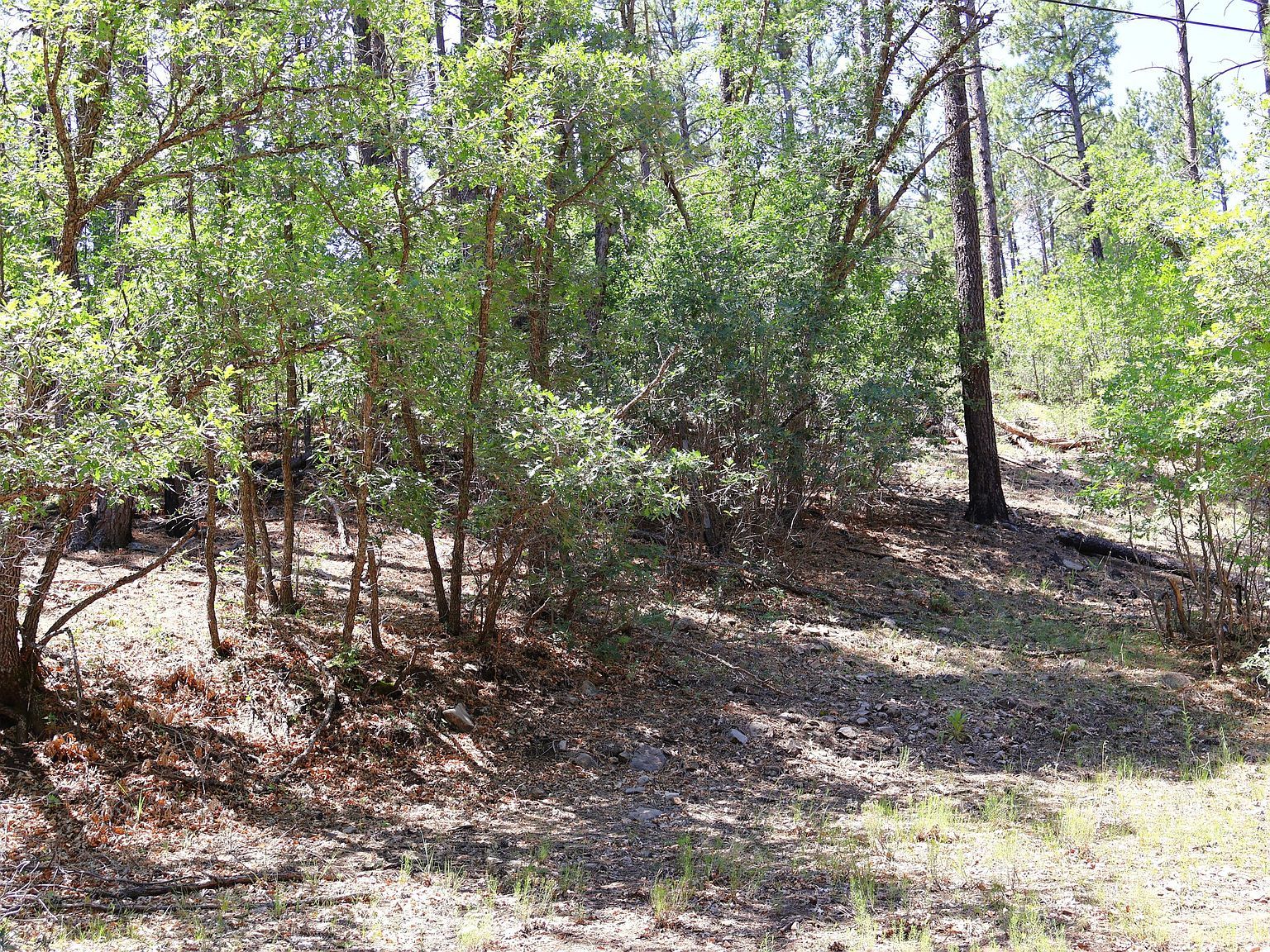 5 Sherwood Forest Dr Torreon, NM 87061 - Thumbnail 3