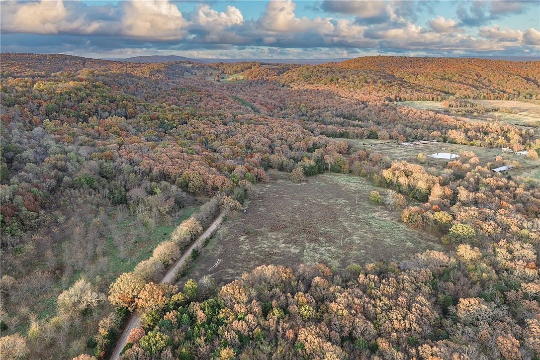 19137 Vineyard Rd Canehill, AR 72717 - Thumbnail 3