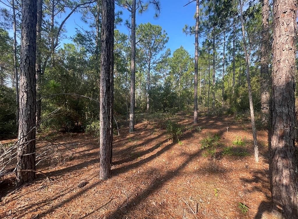 3690 W Norwick Pl #8 Dunnellon, FL 34433 - Thumbnail 3