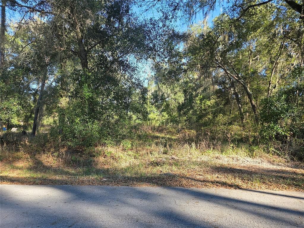 NW 120th Ave LOT 19 Ocala, FL 34482 - Thumbnail 3