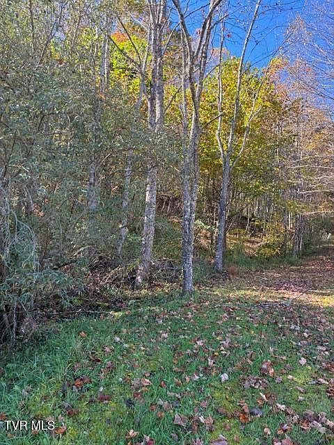 0 Country Meadow Dr Norton, VA 24273 - Thumbnail 3