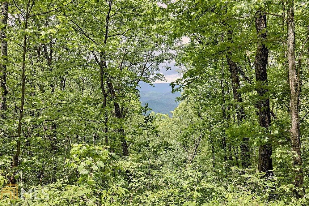 0 Deep Woods LOT 9 Rabun Gap, GA 30568 - Thumbnail 3