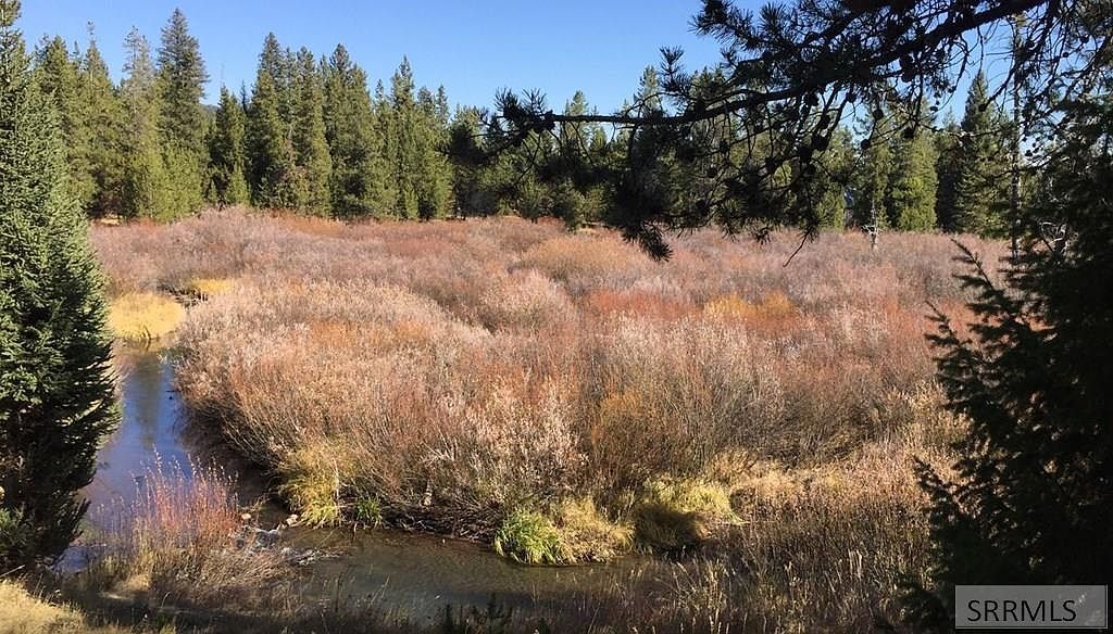 4047 Kickapoo Cir Island Park, ID 83429 - Thumbnail 3