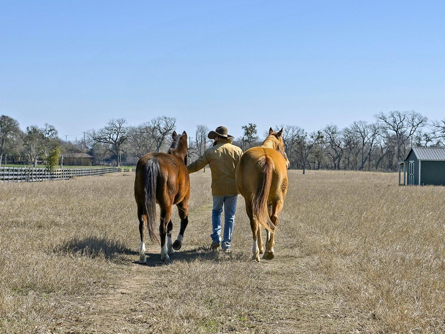 105 River Valley Dr Georgetown, TX 78626 - Thumbnail 3
