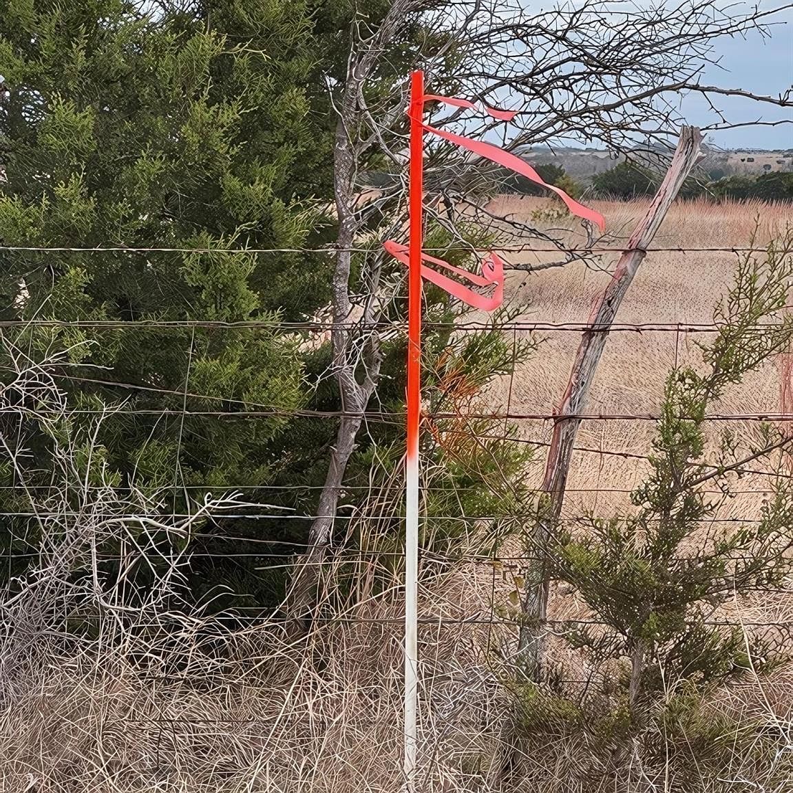 Tbd1 Cres #221 Florence, TX 76527 - Thumbnail 3