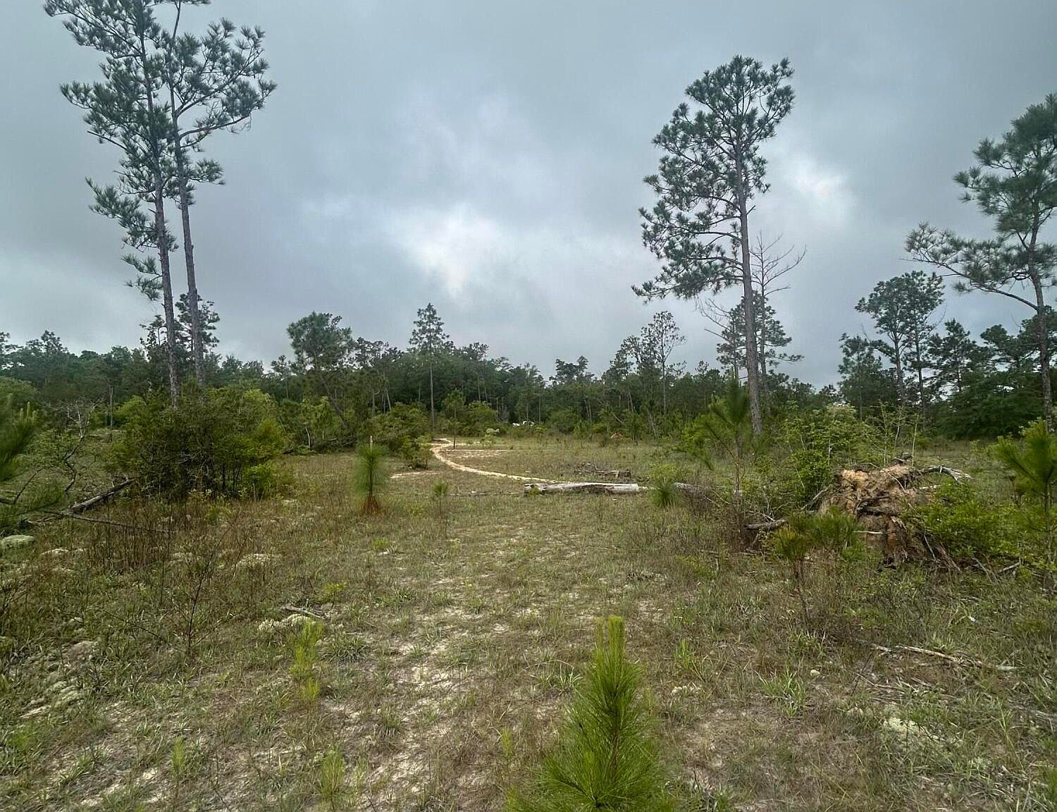 Empire Ave Alford, FL 32420 - Thumbnail 3