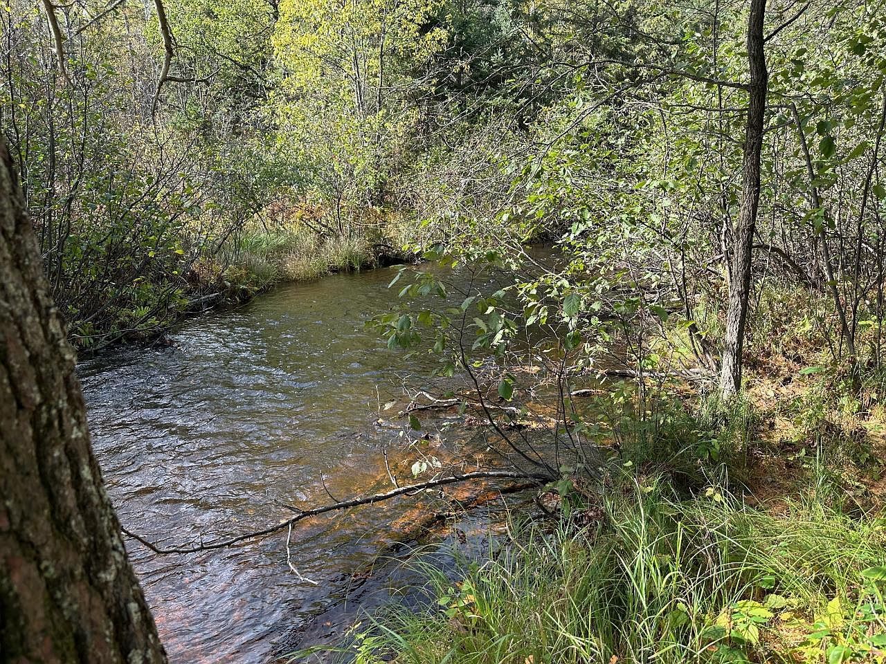 10297 Rocky Run Rd Harshaw, WI 54529 - Thumbnail 3