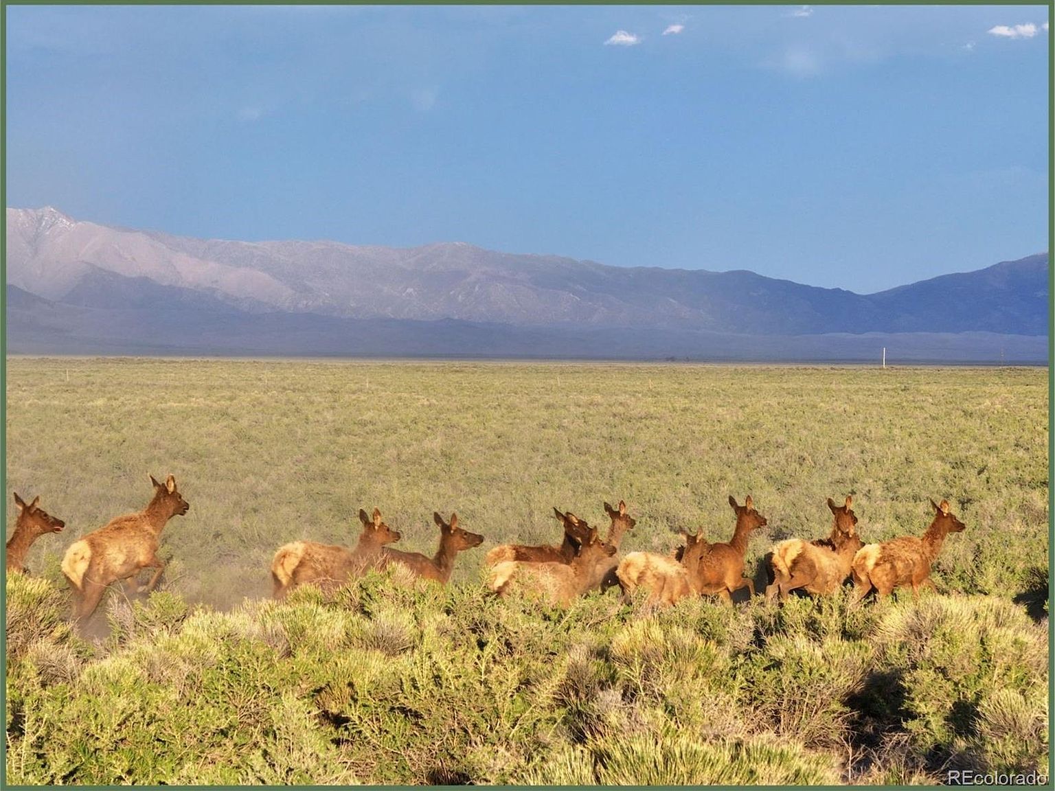 8505 Ln 2 N Mosca, CO 81146 - Thumbnail 3