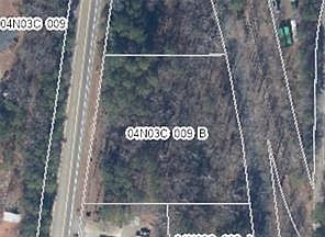 10494 Ball Ground Hwy Ball Ground, GA 30107 - Thumbnail 3