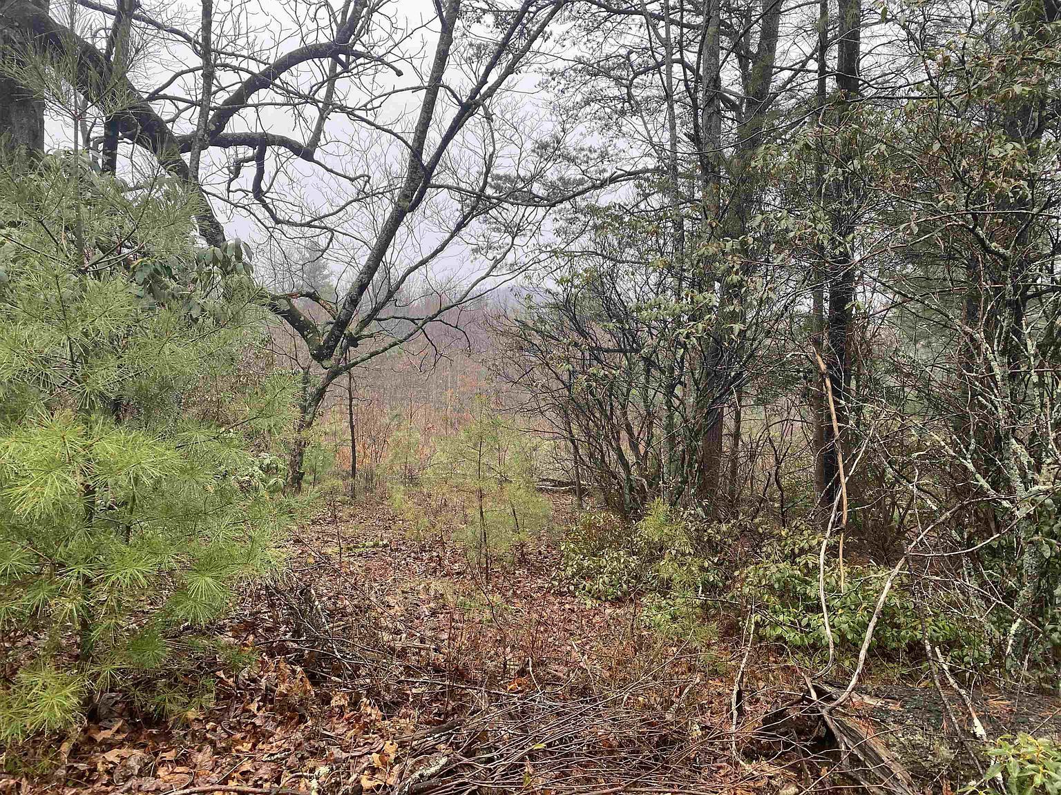 127 Hideaway Cir #19 Ennice, NC 28623 - Thumbnail 3