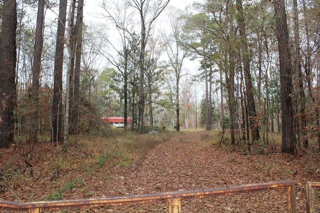 165 Dickerson McKay Dr Milam, TX 75959 - Thumbnail 3