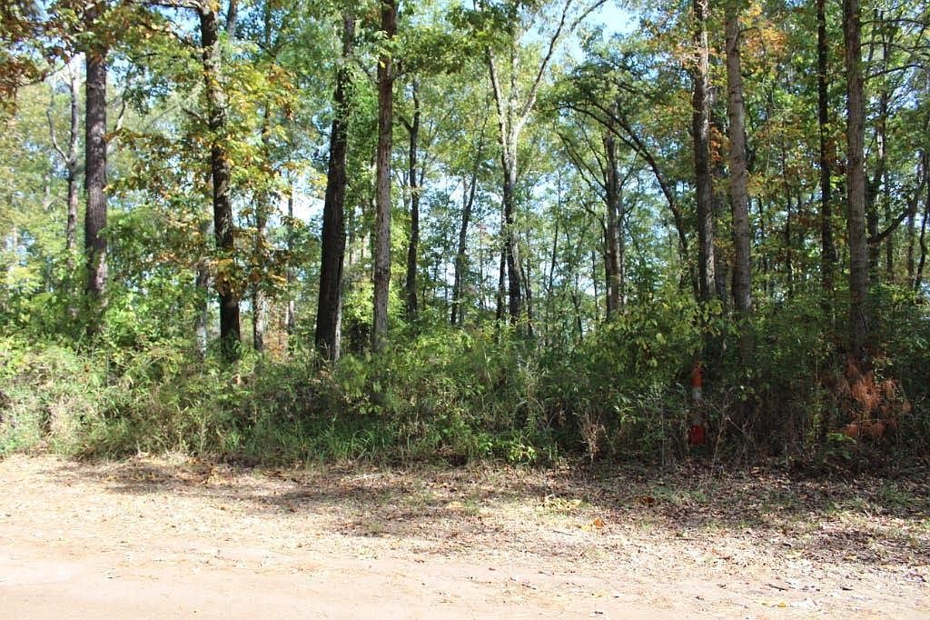 0 Bowline Dr Hemphill, TX 75948 - Thumbnail 3