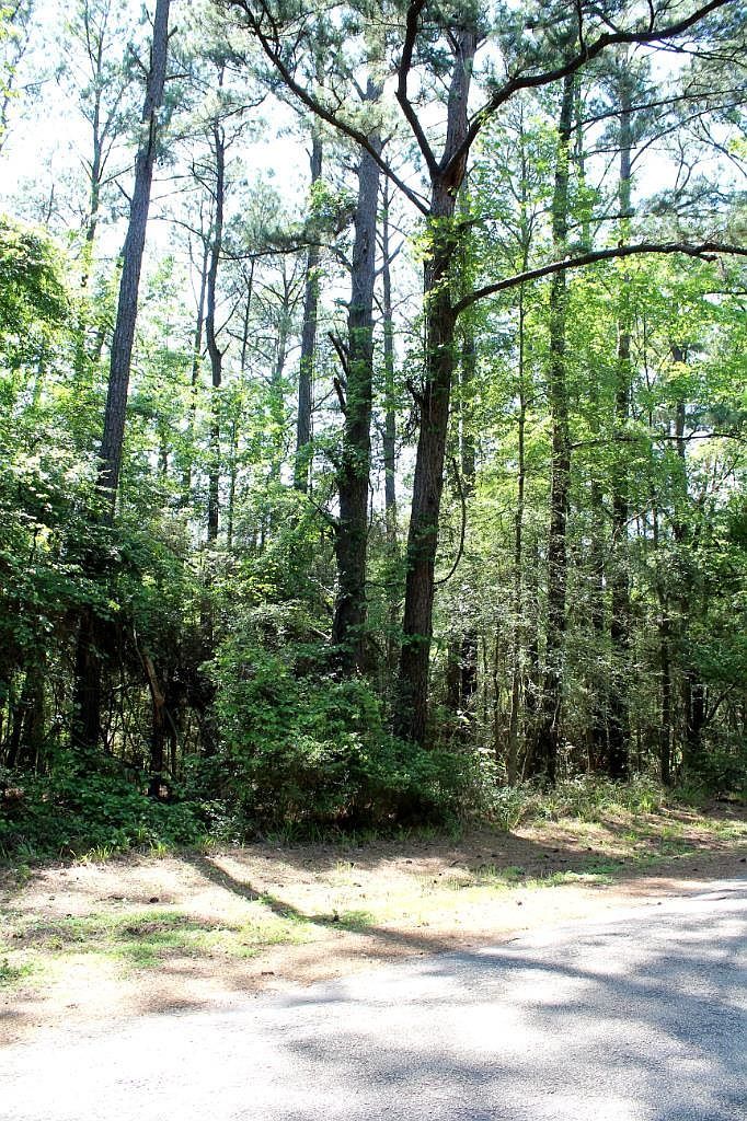 1090 Cedar Grove Rd Hemphill, TX 75948  | Land/Lot