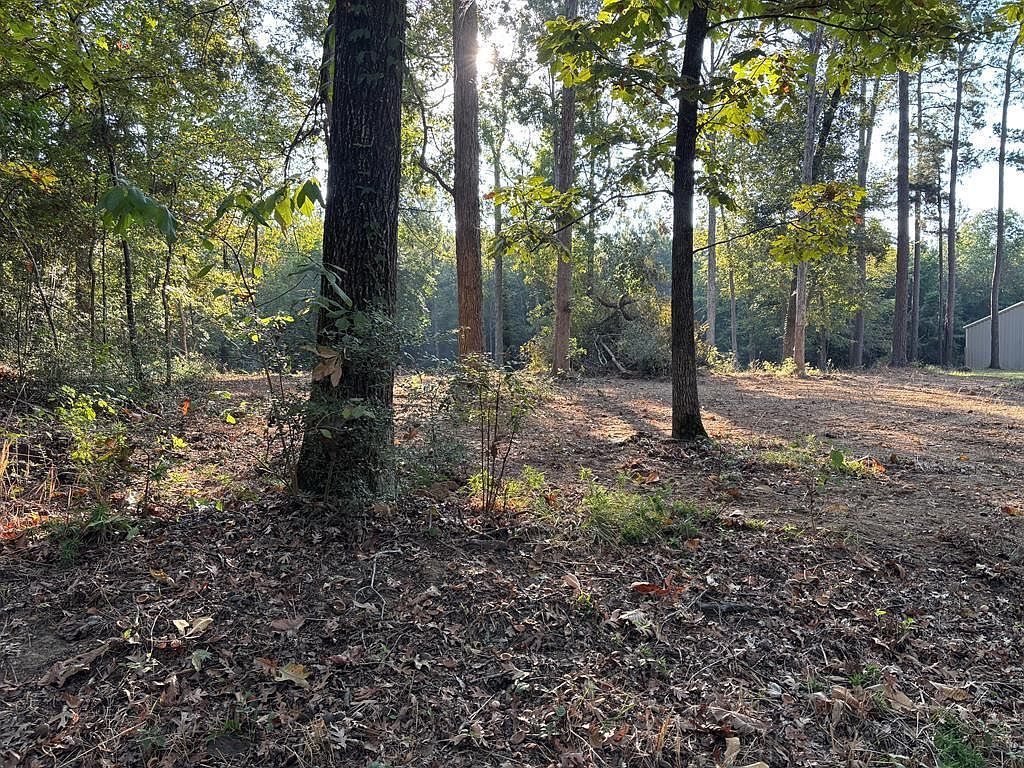 1198 Vantage Point Hemphill, TX 75948 - Thumbnail 3