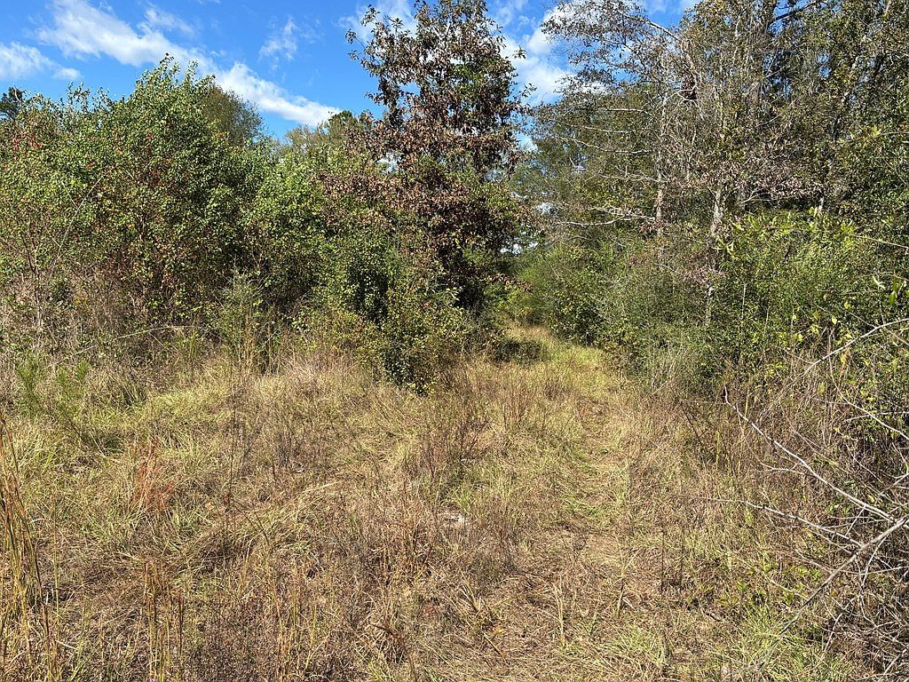 3895 State Highway 21 E Hemphill, TX 75948 - Thumbnail 3