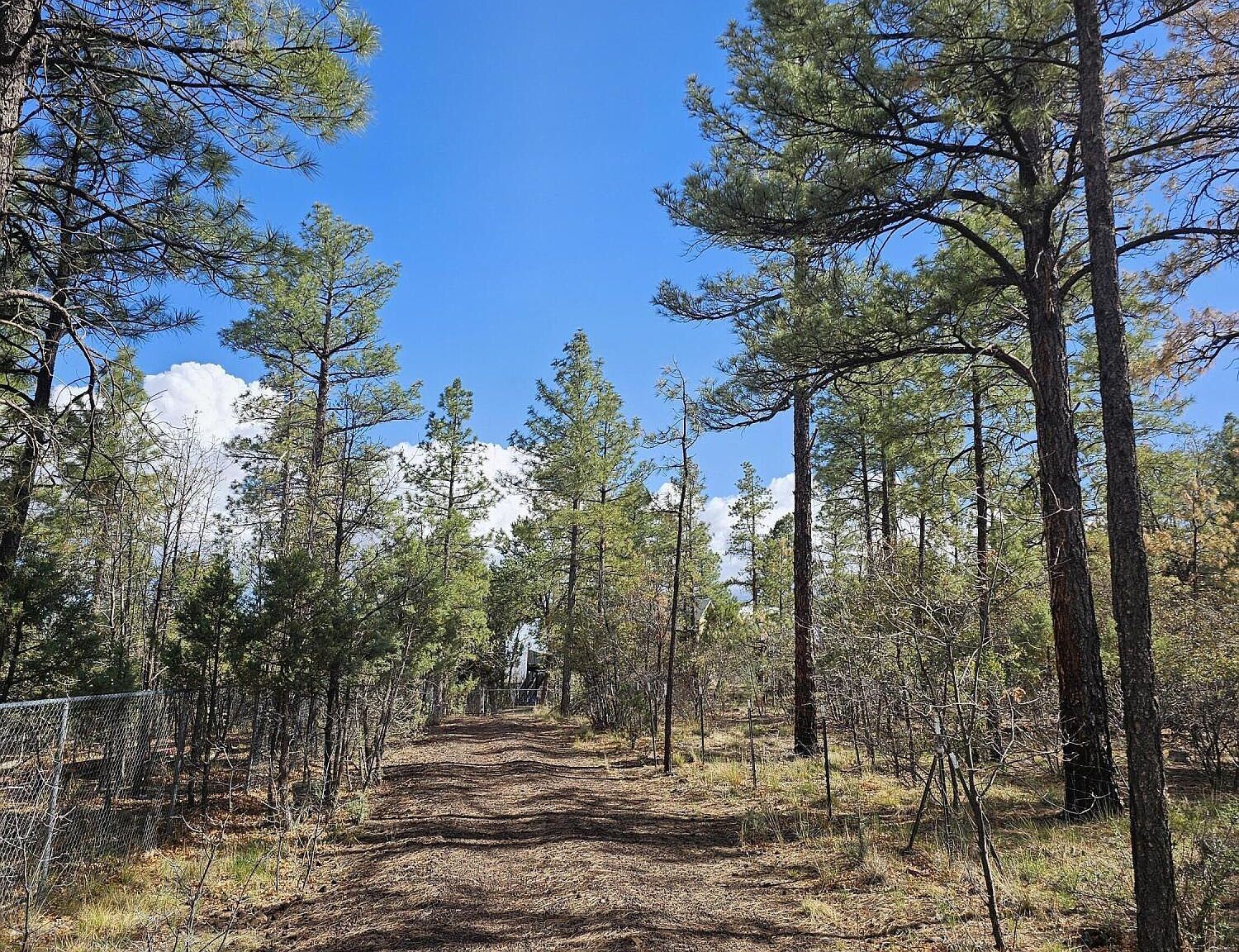 5449 Herd St Pinedale, AZ 85934 - Thumbnail 3