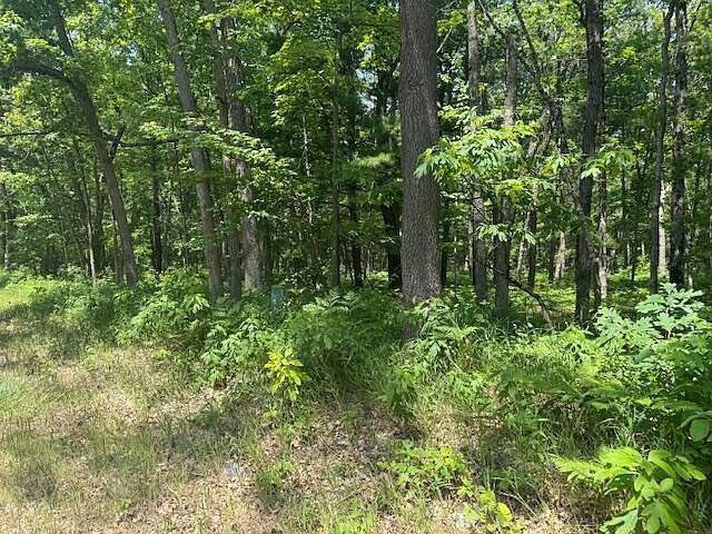 W Cleveland Dr Bitely, MI 49309 - Thumbnail 3