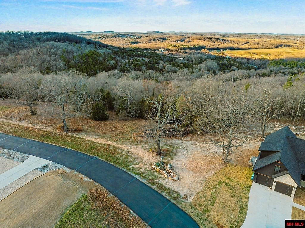 010-11219-014 Denmark Cir Mountain Home, AR 72653 - Thumbnail 3