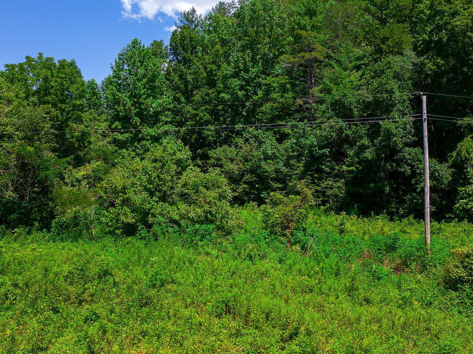 Jones Cove Rd Sevierville, TN 37876 - Thumbnail 3