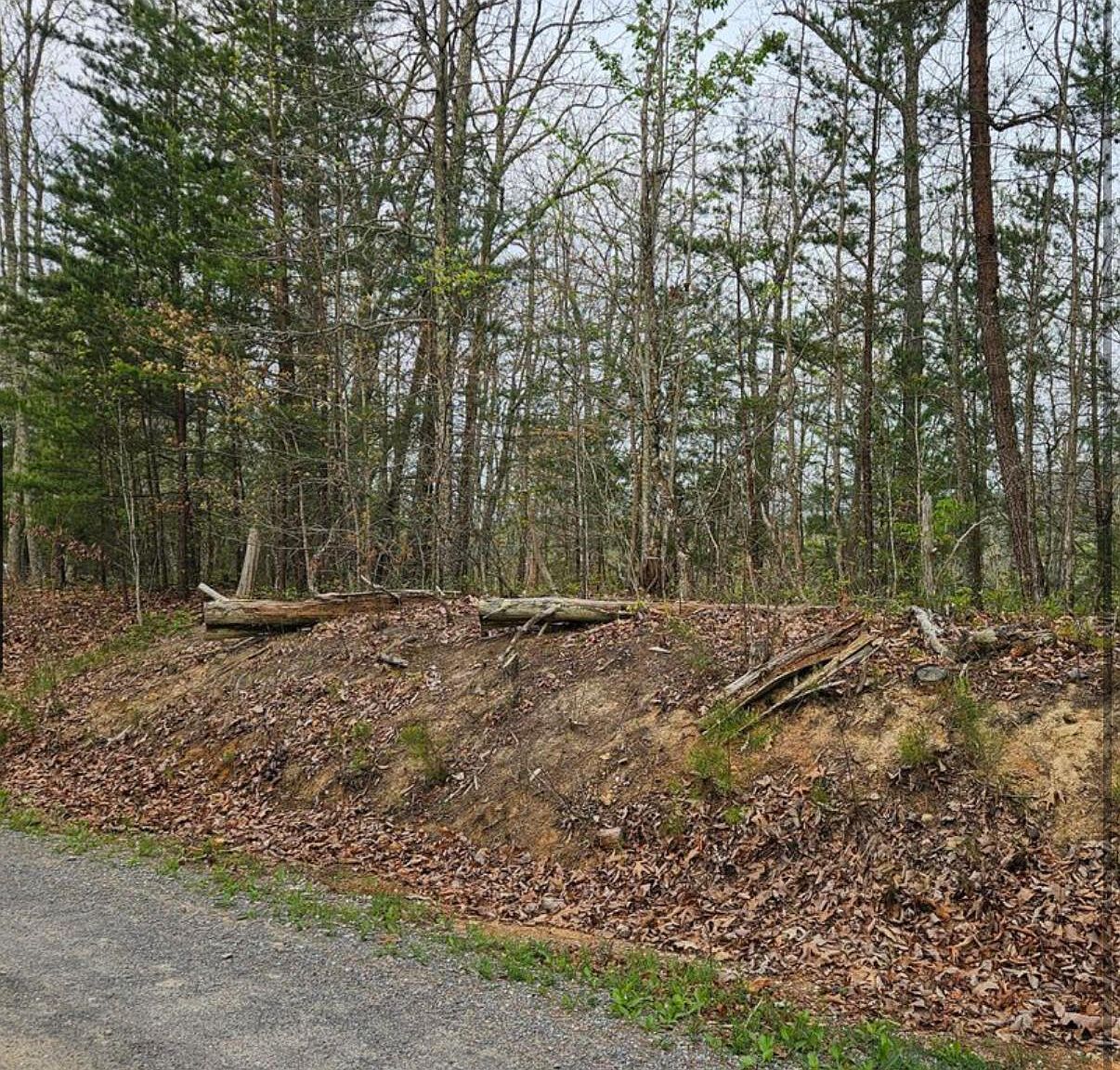 40 Hickory St Sevierville, TN 37876 - Thumbnail 3