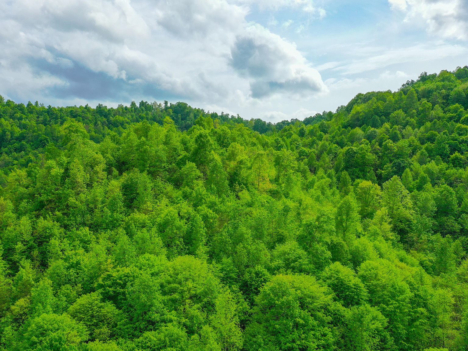 9999 Toby Rd LOT 6 Manchester, KY 40962 - Thumbnail 3